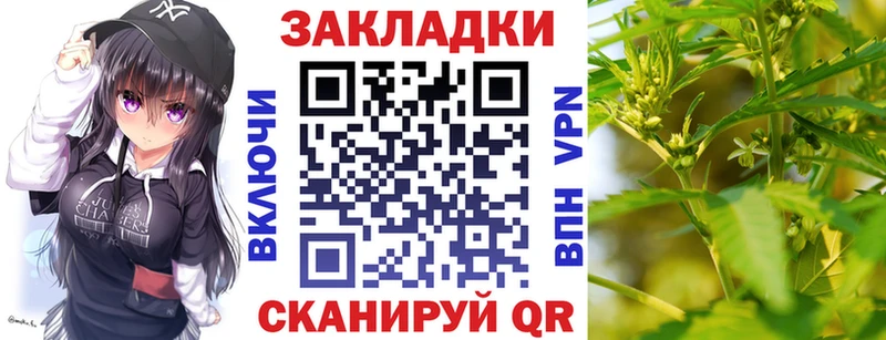 Купить закладку Йошкар-Ола Галлюциногенные грибы  Гашиш  Метадон  Амфетамин  Кетамин  Каннабис 