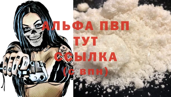 PSILOCYBIN Верея