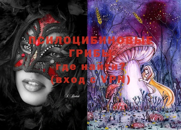 PSILOCYBIN Верея