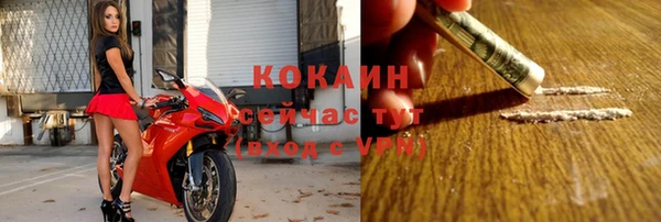 PSILOCYBIN Верея